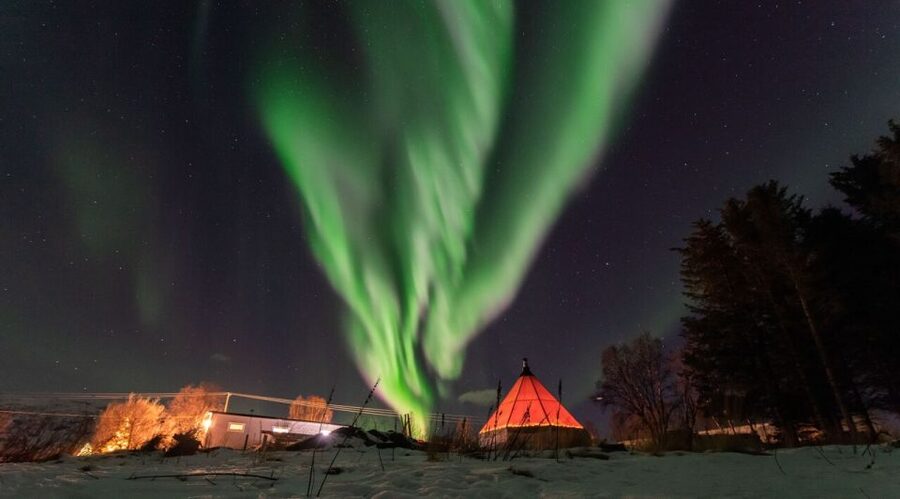 Tromsø: Aurora Safari Chase by big bus with Camp meal - Photographing the northern lights