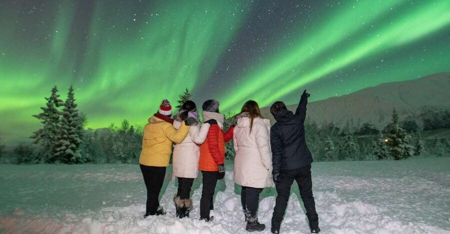 Tromsø: Aurora Safari Chase by big bus with Camp meal - The chase when clouds move in