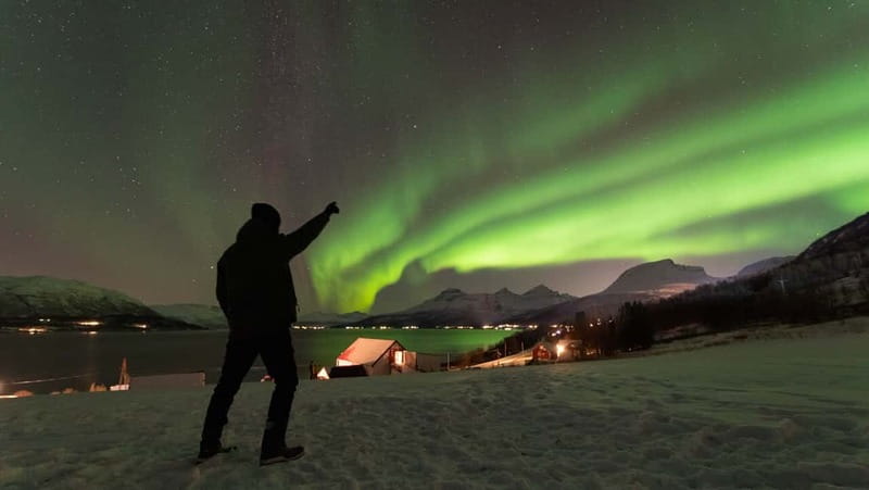 Tromsø: Aurora Safari Chase by big bus with Camp meal - Who should book this experience