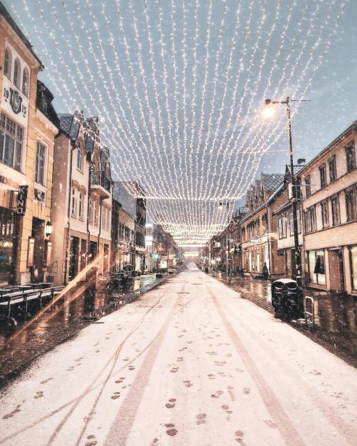 Tromsø: Capture the most Photogenic Spots with a Local - Who should book this walk?