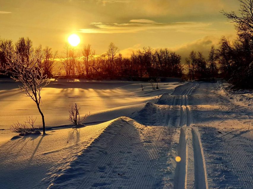 Tromsø: Cross Country Guided Skiing Course - Key points at a glance