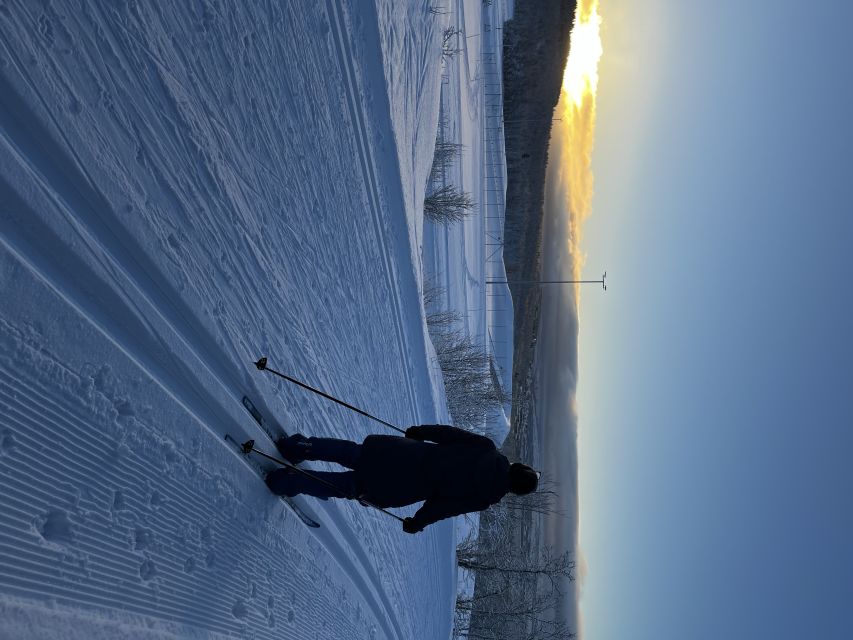 Tromsø: Cross Country Guided Skiing Course - Skiing across Tromsøya