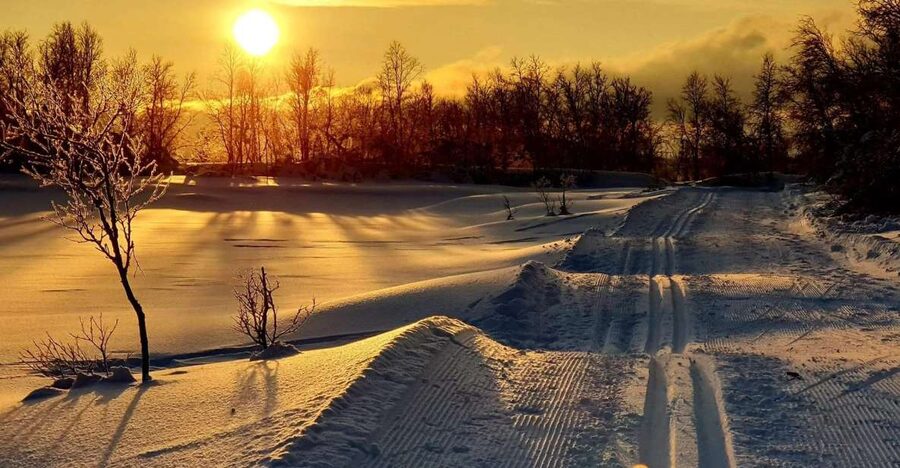 Tromsø: Cross Country Guided Skiing Course - Prestvannet Lake and the blue-hour pause