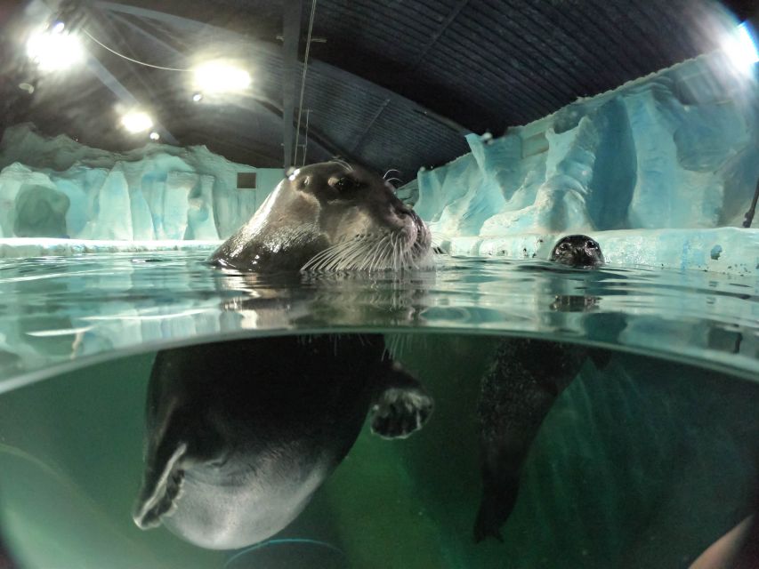 Tromsø: Entrance Ticket to Polaria - Climate exhibits that connect the Arctic to daily life