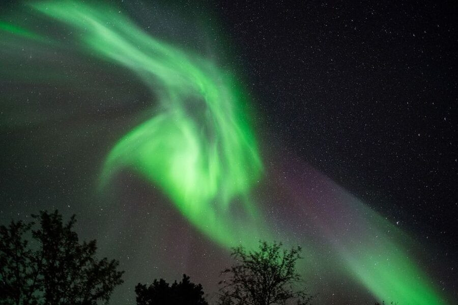 Tromsø: Evening Aurora Cruise (dinner optional) - At a glance
