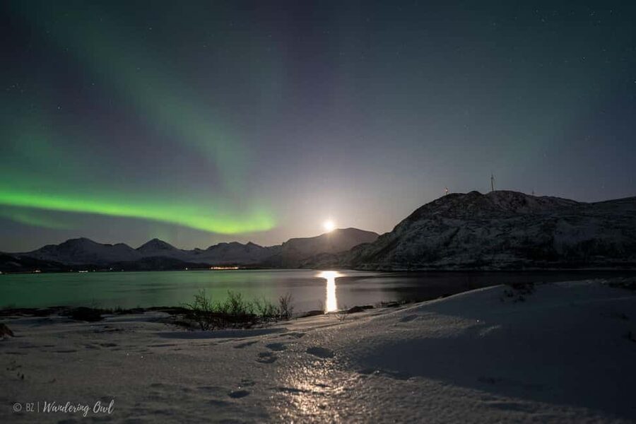 Tromsø: Express Aurora Hunt - Why the midnight return matters in Tromsø