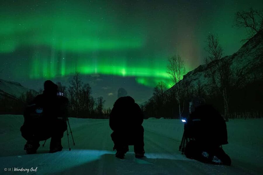 Tromsø: Express Aurora Hunt - Is $196 a fair price?