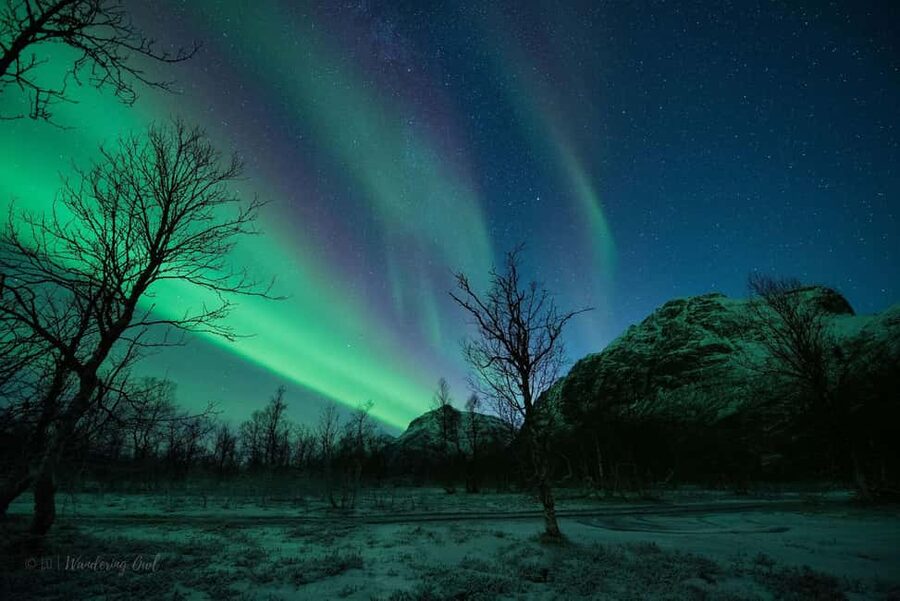 Tromsø: Express Aurora Hunt - Pickup details for city and cruise passengers