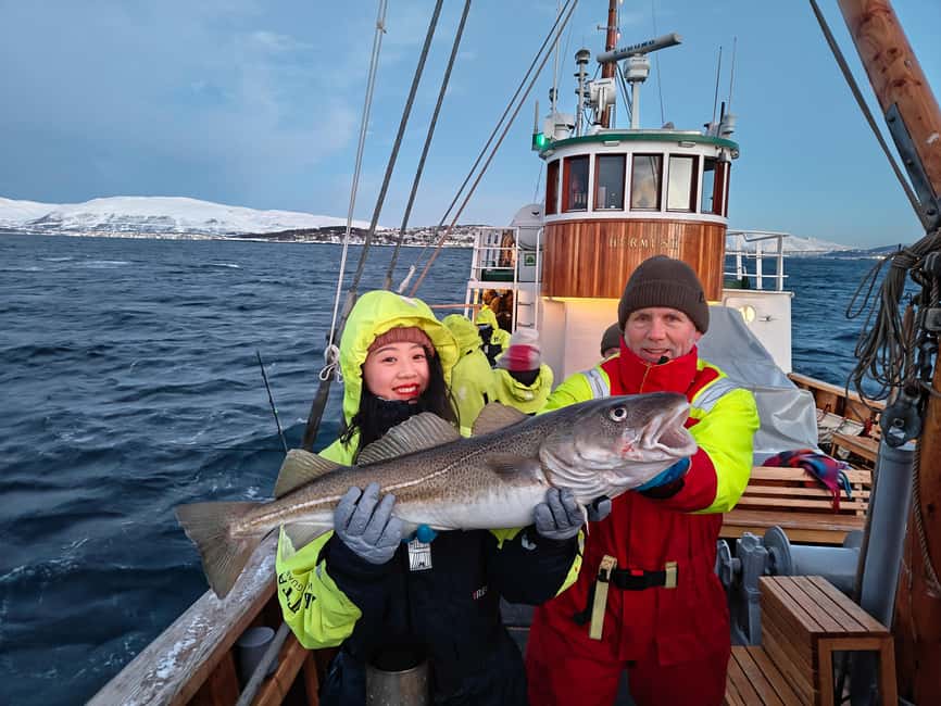 Tromsø: Fjord Fishing Cruise - Key points to know before you book