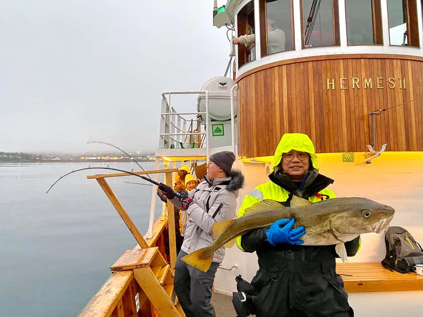Tromsø: Fjord Fishing Cruise - Setting out from Stortorget aboard Hermes II
