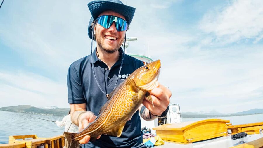 Tromsø: Fjord Fishing Cruise - Catching fish, then eating it onboard