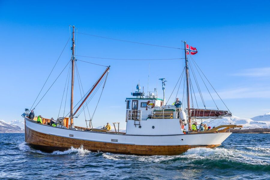Tromsø: Fjord History Cruise with Snack and Drinks - Key points to know before you book