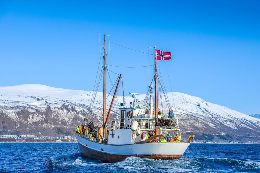 Tromsø: Fjord History Cruise with Snack and Drinks - Who will enjoy this Tromsø cruise most?