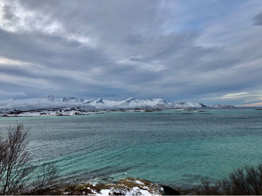 Tromsø: Fjords and Sommarøy Islands Tour with Salmon Picnic - Why Sommarøy makes this half-day trip worthwhile