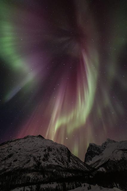 Tromsø: Fjords & Beaches Tour with Campfire and Arctic Food - Wildlife watching without promises