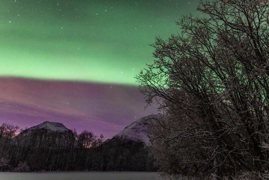 Tromsø: Fjords & Beaches Tour with Campfire and Arctic Food - Small group size and the personal feel