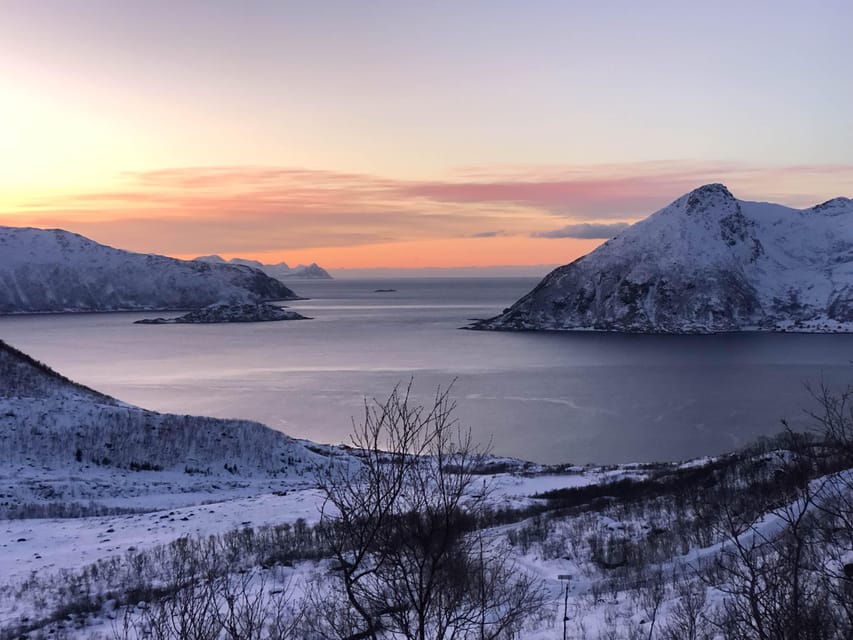 Tromsø: Fjords & Beaches Tour with Campfire and Arctic Food - Is the $304 price fair?