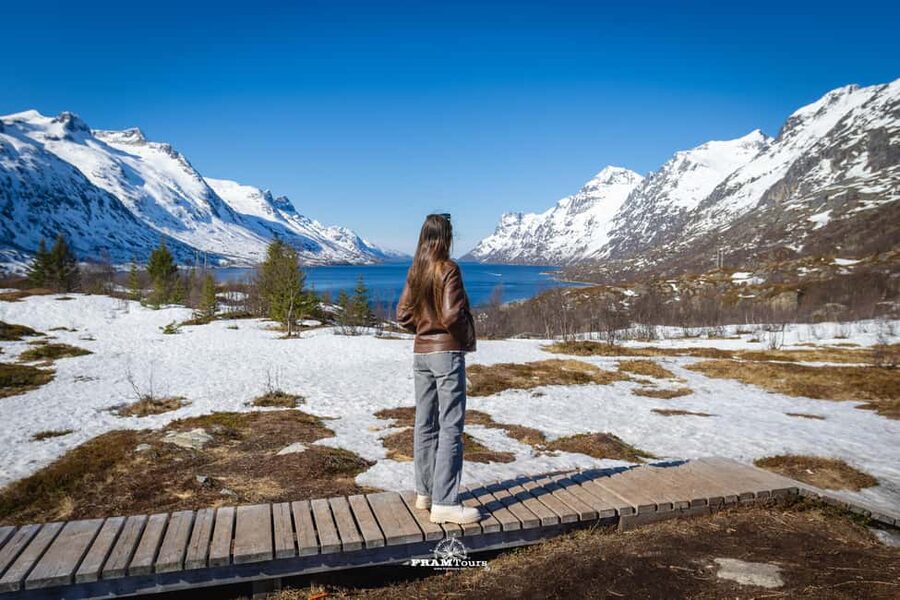 Tromso: Guided Fjord Expedition in Kvaløya with Light Lunch - Why Kvaløya makes a fine half-day escape from Tromsø