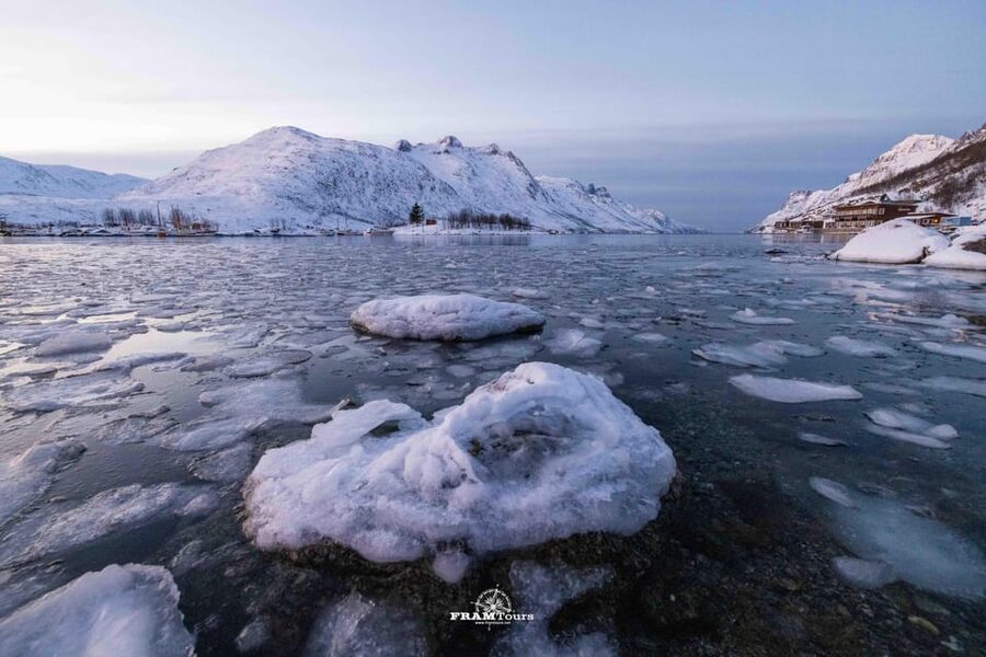 Tromso: Guided Fjord Expedition in Kvaløya with Light Lunch - What the guides add to the road time