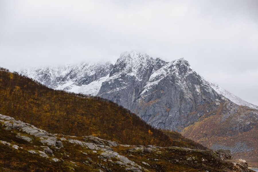 Tromso: Guided Fjord Expedition in Kvaløya with Light Lunch - What to bring for a comfortable day