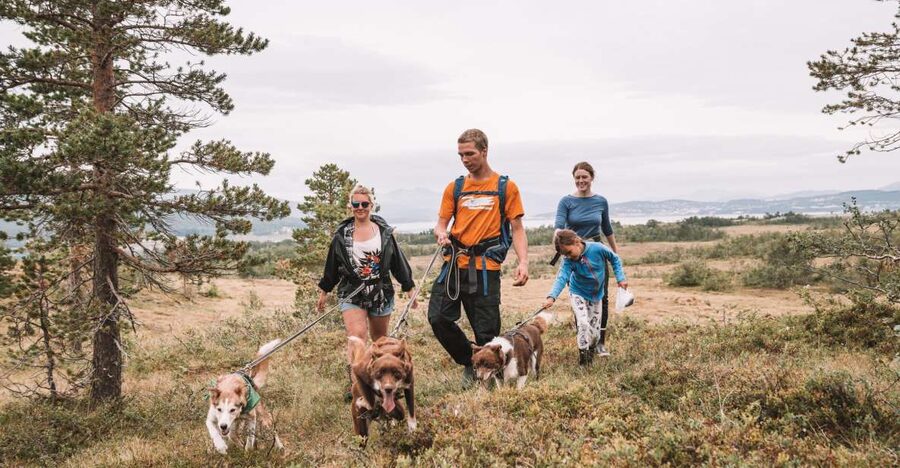 Tromsø: Husky Hike and Puppy Visit with Traditional Lunch - Rain, mud, and the practical side of the trail