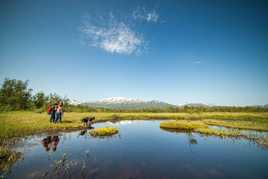 Tromsø: Husky Hike and Puppy Visit with Traditional Lunch - Lunch in a Sami Lavvo by the fire