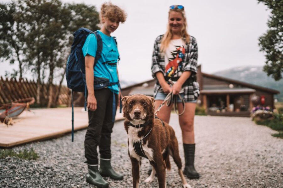 Tromsø: Husky Hike and Puppy Visit with Traditional Lunch - The guides and the tone of the day