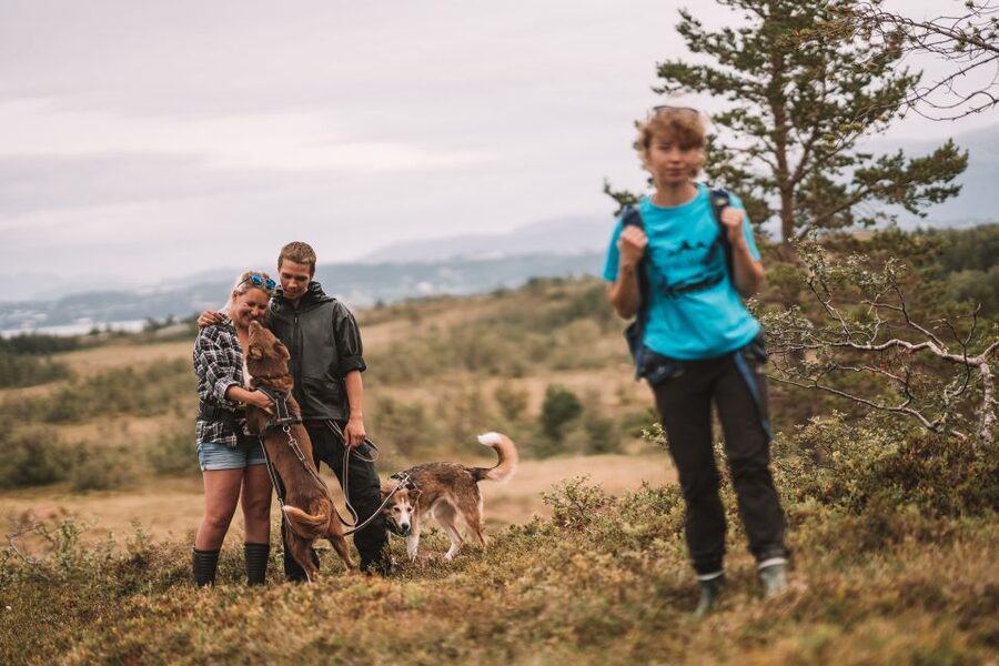 Tromsø: Husky Hike and Puppy Visit with Traditional Lunch - Should you book the husky hike?
