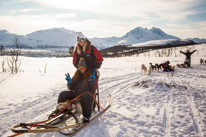 Tromso Husky Self-Drive Sledding with Cake and Drink in Lavvu - Why self-drive husky sledding feels different