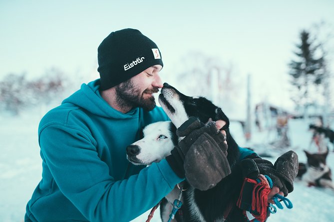 Tromso Husky Self-Drive Sledding with Cake and Drink in Lavvu - The safety lesson and your first run