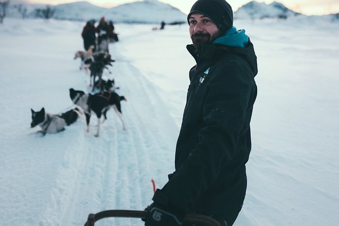 Tromso Husky Self-Drive Sledding with Cake and Drink in Lavvu - Seventy to eighty minutes across the snow