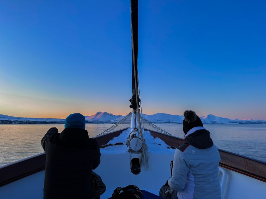 Tromsø: Luxury Polar Fjord Cruise w/ Hot Tub & Polar Plunge - Choosing a Route Through Balsfjorden
