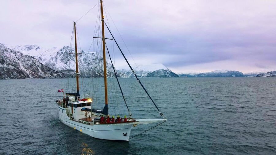 Tromsø: Luxury Polar Fjord Cruise w/ Hot Tub & Polar Plunge - Reindeer Stew and Hot Drinks on Board