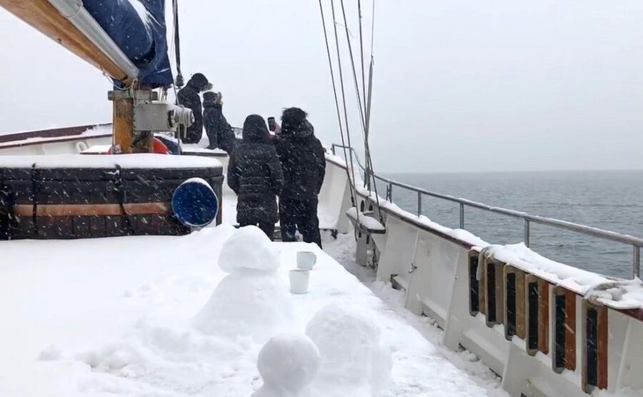 Tromsø: Luxury Polar Fjord Cruise w/ Hot Tub & Polar Plunge - Is $281 a Fair Price?