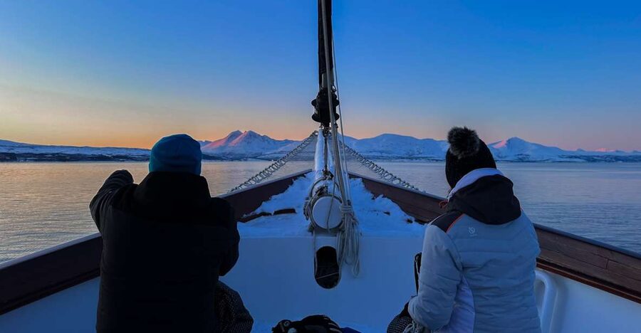 Tromsø: Luxury Polar Fjord Cruise w/ Hot Tub & Polar Plunge - Watching for Seals, Eagles, and Dolphins