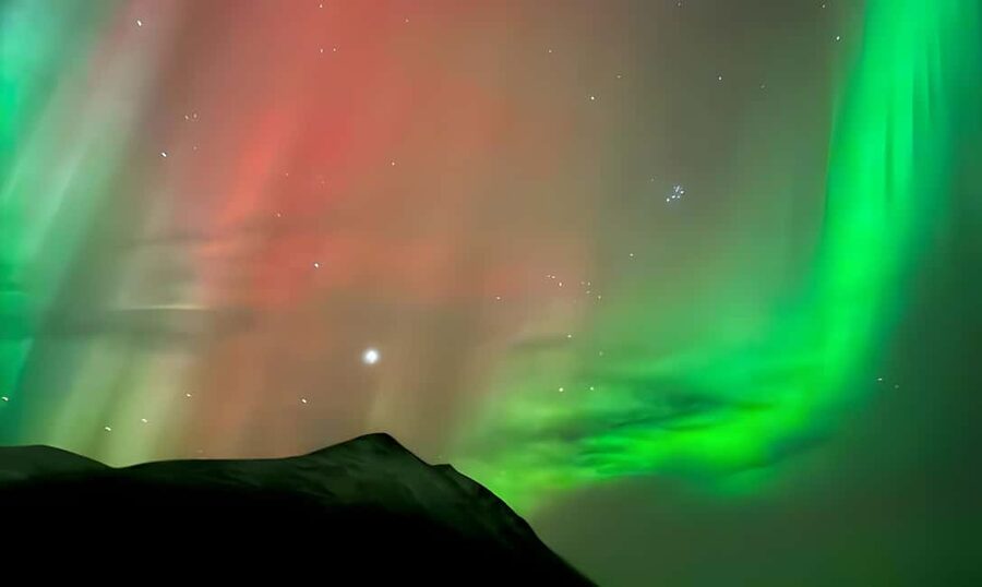 Tromsø: Northern Lights Adventure by Bus or Minibus - Campfire, cookies, and the waiting game