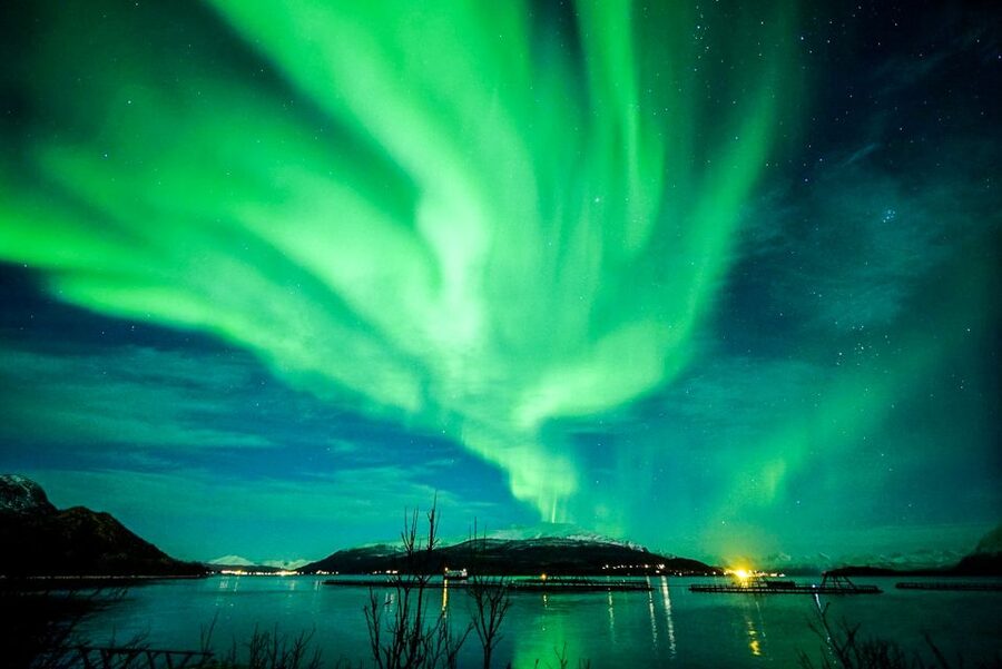 Tromsø: Northern Lights Chase Minibus Tour - Is $172 a fair price?