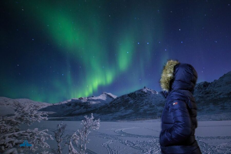 Tromso: Northern Lights Chase with Photo Package Included - Comfort, clothing, and the cold