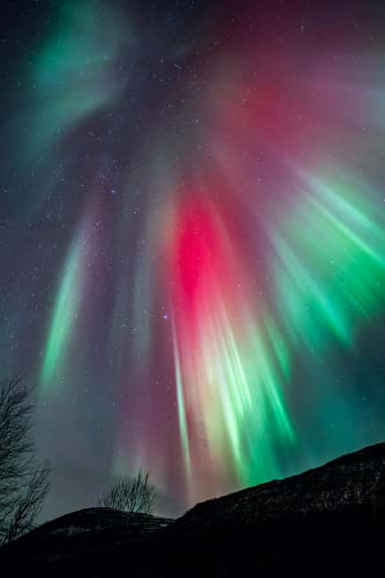 Tromsø: Northern Lights Focus Tour, German/English, minibus, meal - Thermal suits, headlamps, and what to wear