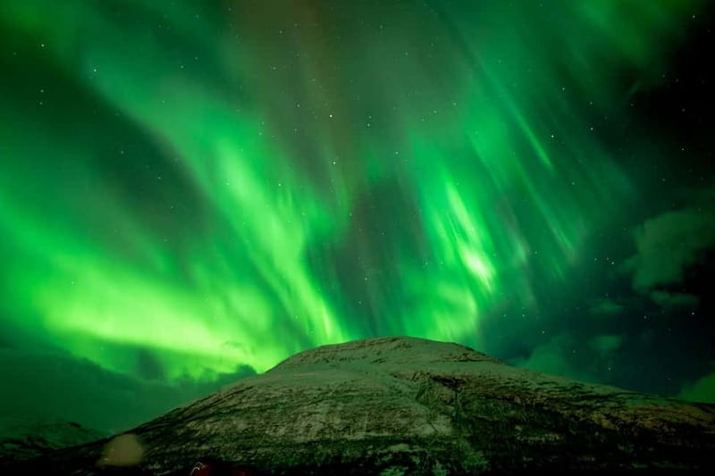 Tromsø: Northern Lights Focus Tour, German/English, minibus, meal - What the seven-hour schedule feels like