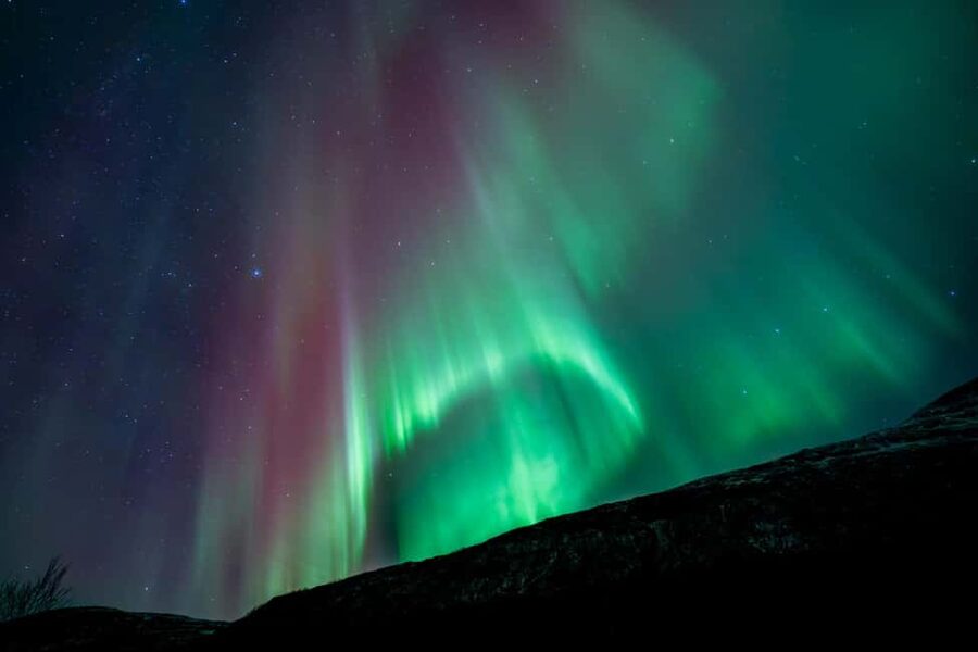 Tromsø: Northern Lights Focus Tour, German/English, minibus, meal - What the $215 price buys you