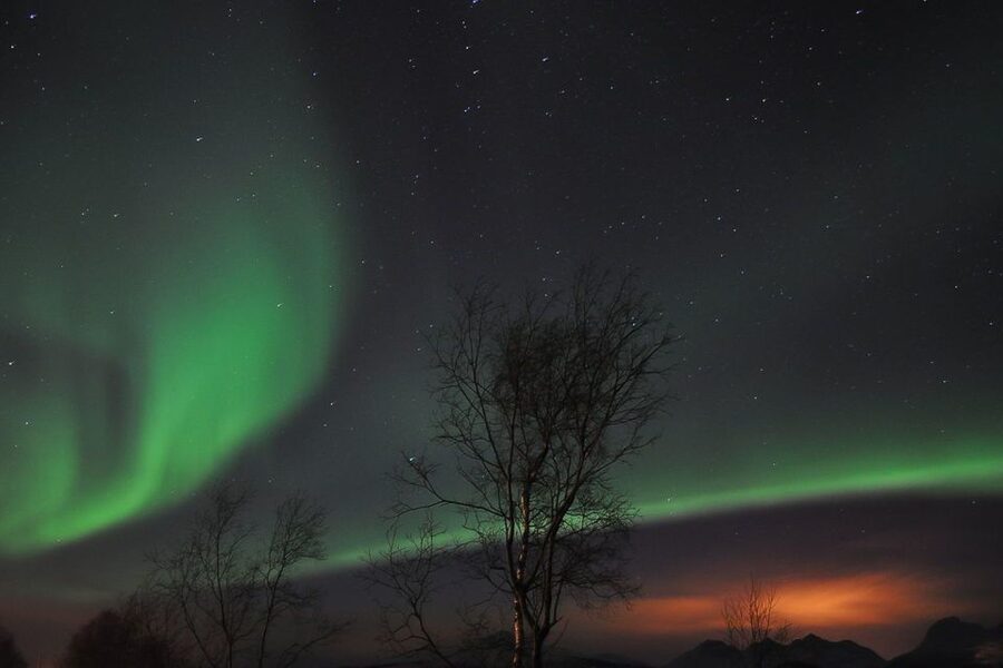 Tromsø: Northern Lights Husky Visit with Traditional Dinner - Key points to know before you book