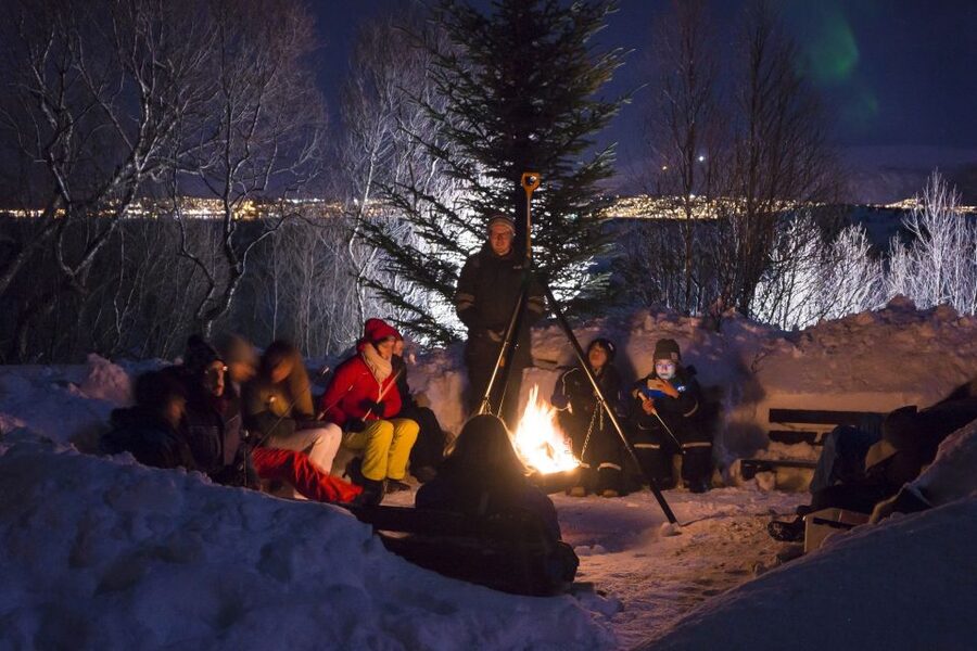 Tromsø: Northern Lights Husky Visit with Traditional Dinner - Meeting the huskies and puppies