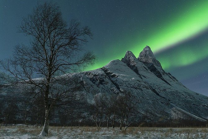 Tromso Northern Lights Minibus Chase Small Group Tour with Photos - How the group size changes the experience