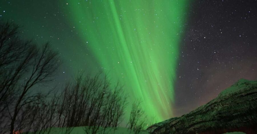 Tromsø: Northern Lights Minibus Small Private Tour Group - Why this Tromsø Aurora chase is different