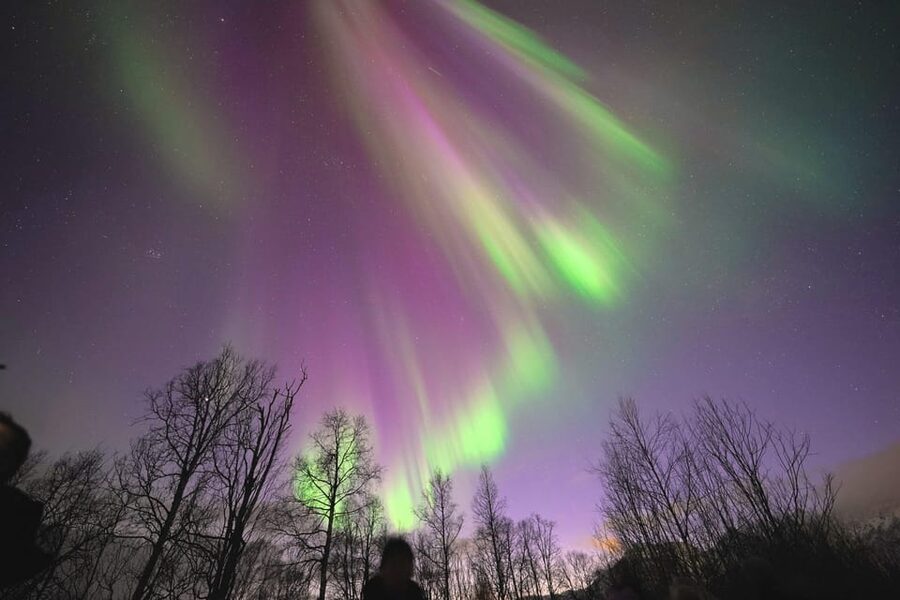 Tromso: Northern Lights Minibus Tour with Campfire - Leaving Tromsø in Search of Clearer Skies