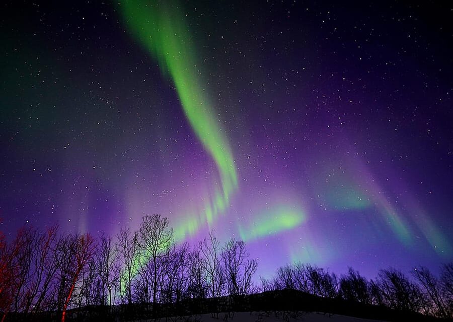 Tromso: Northern Lights Minibus Tour with Campfire - How the 8 to 10 Hour Night Usually Unfolds