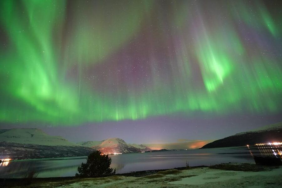 Tromso: Northern Lights Minibus Tour with Campfire - Thermal Suits, Boots, and Staying Outside