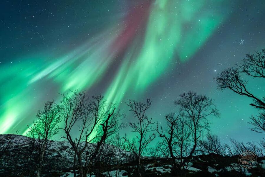 Tromsø: Northern Lights Photography Tour - Campfire, tomato soup, and a long wait