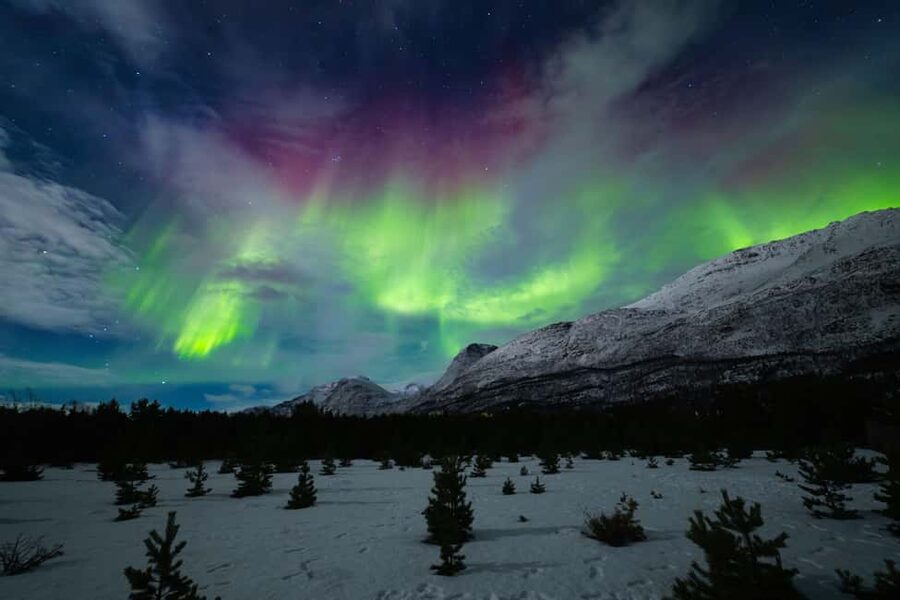 Tromsø: Northern Lights Photography Tour - Timing your booking around the moon